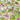 Self Adhesive Pink Floral Wallpaper for Bedroom & Dressing Room – Nidhi Decor India