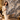Self Adhesive Dark Grey Marble Gold Botanical PVC Foam Wall Sheet 2x2 ft (ND-106) | 2mm Damp-Proof Wall Decor (Minimum 5 Quantity)