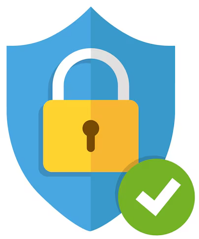 100% Secure Payments